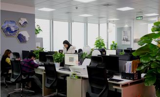 重慶軟件開發與網站建設的領軍者——途錦科技